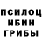 Галлюциногенные грибы Psilocybine cubensis Sopha polishchuk