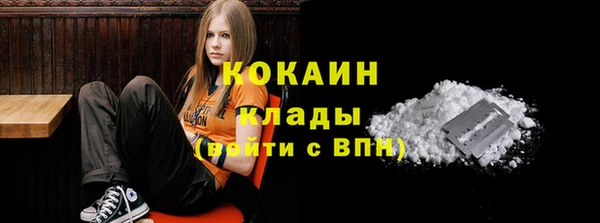 соль ск Богородицк