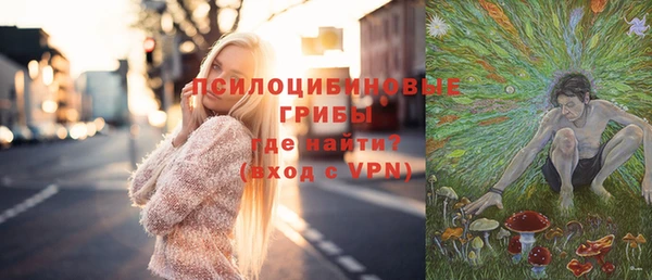 соль ск Богородицк