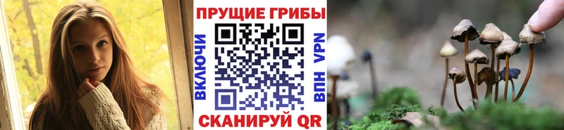 Псилоцибиновые грибы прущие грибы  shop формула  Клинцы  сколько стоит 